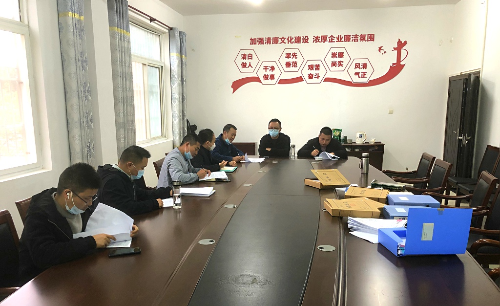 江夏區靈山工礦廢棄地復墾利用試點項目一期工程（類壤土噴播工程、主動防護網及掛網栽植工程）竣工初步驗收會議圓滿結束